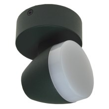 Plafonnier LED SURMUR LED/6W/230V vert