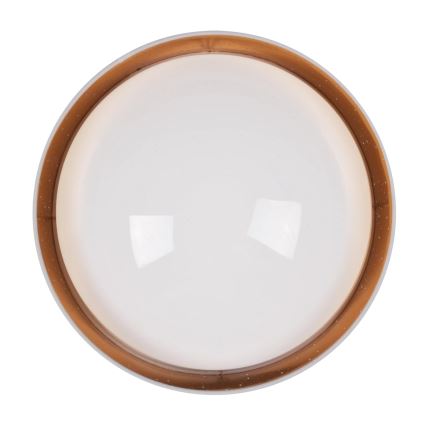 Plafonnier LED TULUZA LED/24W/230V diam. 40 cm blanc