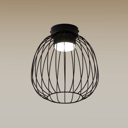 Plafonnier OVELLA 1xGX53/10W/230V Ø 25 cm noir