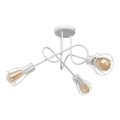 Plafonnier OXFORD 3xE27/15W/230V blanc