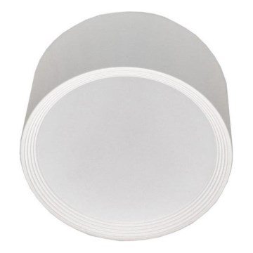 Plafonnier PERCI LED/30W/230V IP40 4000K blanc