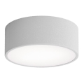 Plafonnier pour salle de bains avec détecteur CLEO 1xE27/24W/230V Ø 20 cm IP54 gris
