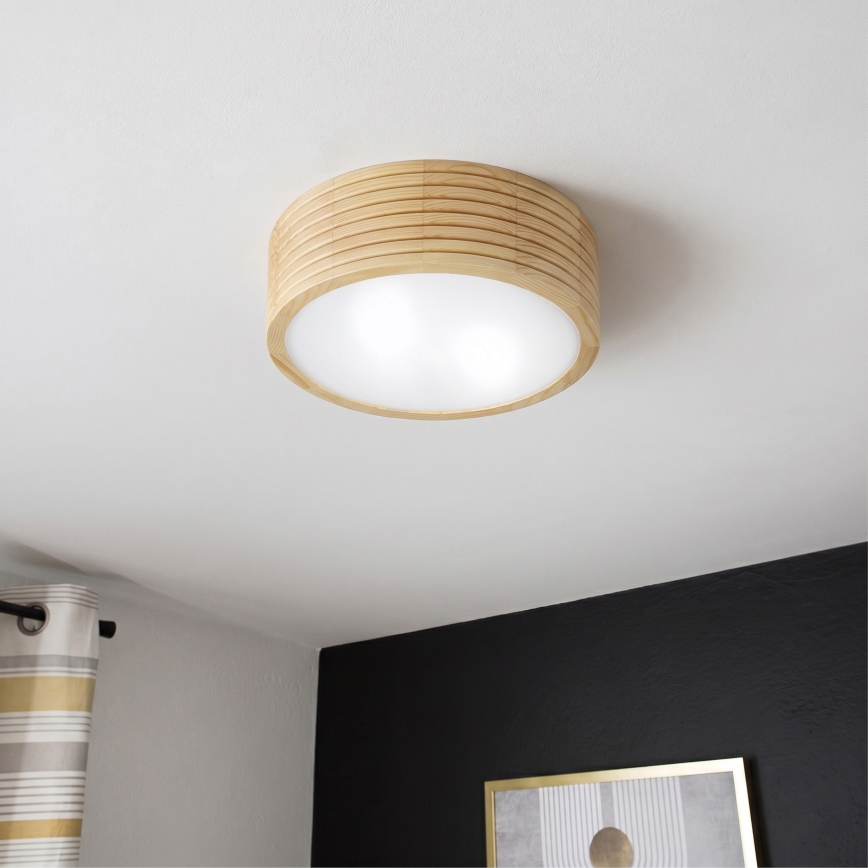 Plafonnier pour salle de bains NATURAL MODERN 2xE27/15W/230V IP54 Ø 27,5 cm pin