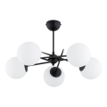 Plafonnier PRIMERY 5xE14/10W/230V noir