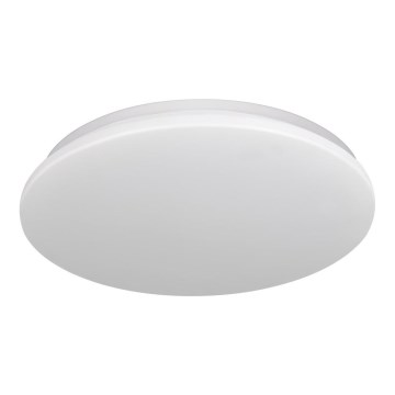 Plafonnier salle de bain ADAR LED/12W/230V IP44 4000K