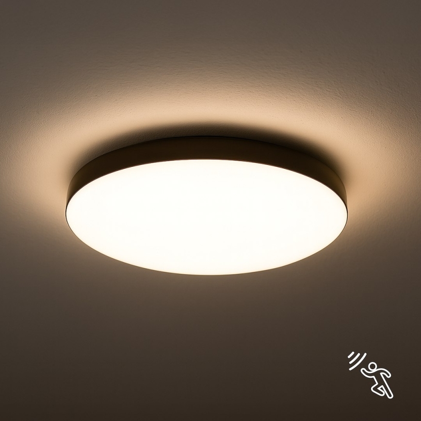 Plafonnier salle de bain avec détecteur MAYA LED/13W/230V d. 33 cm IP44 noir