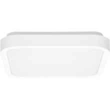 Plafonnier salle de bain LUKY LED/12W/230V 4000K 25x25 cm IP44 blanc