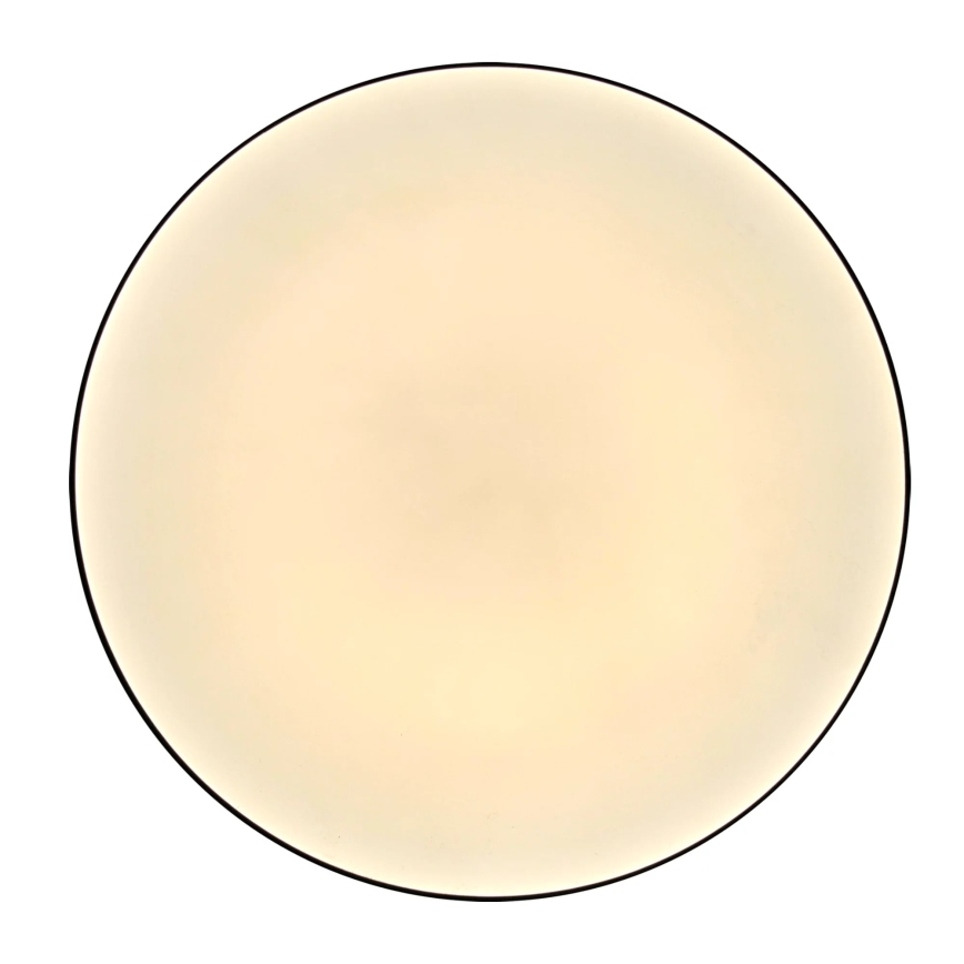 Plafonnier salle de bain MOON LED/18W/230V chrome brillant IP44