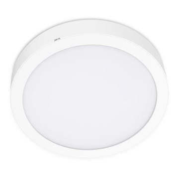 Plafonnier SIGARO CIRCLE LED/18W/230V 4000K IP40