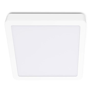 Plafonnier SIGARO SQUARE LED/24W/230V 4000K IP40