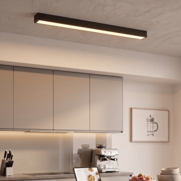 Plafonnier/suspension LED sur câble, 44 W, 230 V, 3000 K, 120 cm, noir