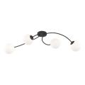 Plafonnier VIBRA 4xE14/10W/230V noir/blanc