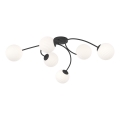 Plafonnier VIBRA 6xE14/10W/230V noir/blanc