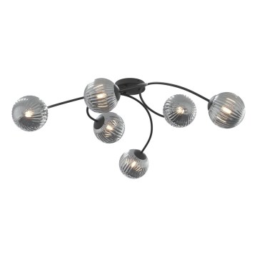 Plafonnier VIBRA 6xE14/10W/230V noir/gris