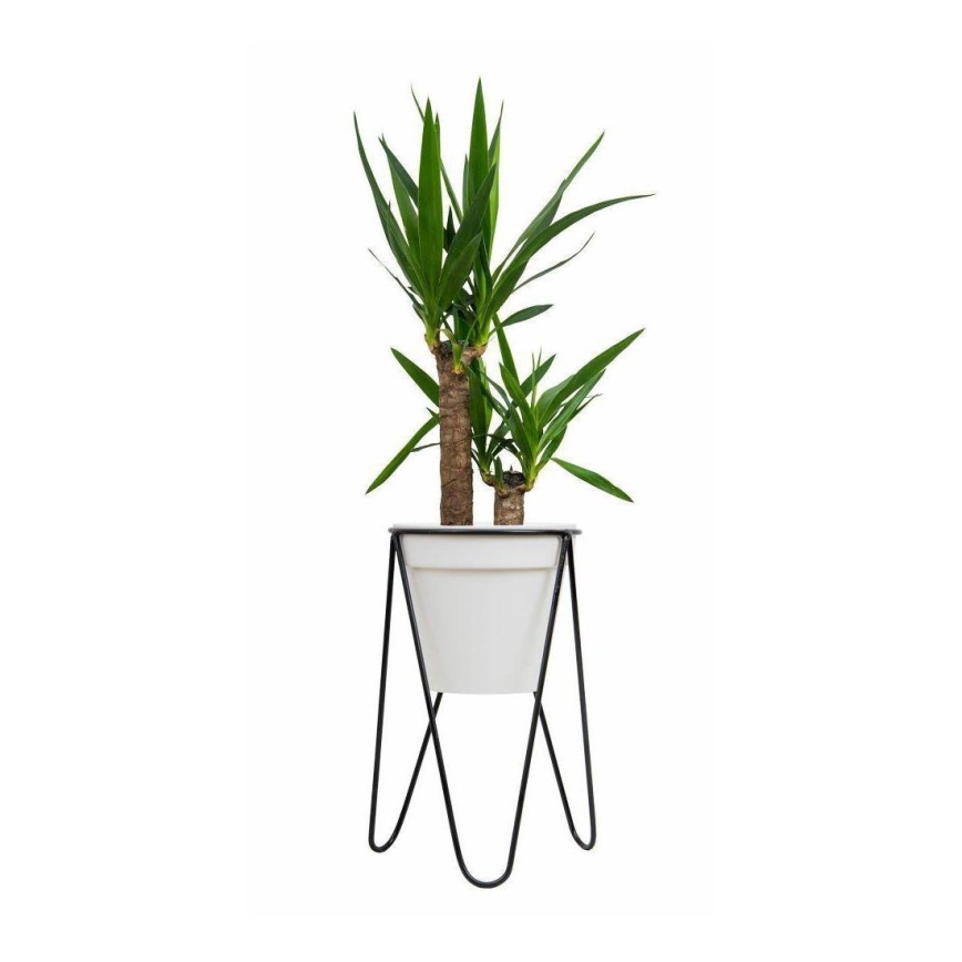 Plantenstandaard LOFT 50x30 cm zwart
