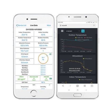Portail connecté avec thermomètre, hygromètre et baromètre Wi-Fi