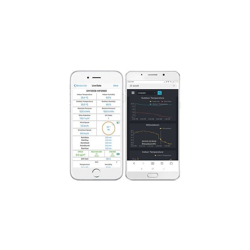 Portail connecté avec thermomètre, hygromètre et baromètre Wi-Fi