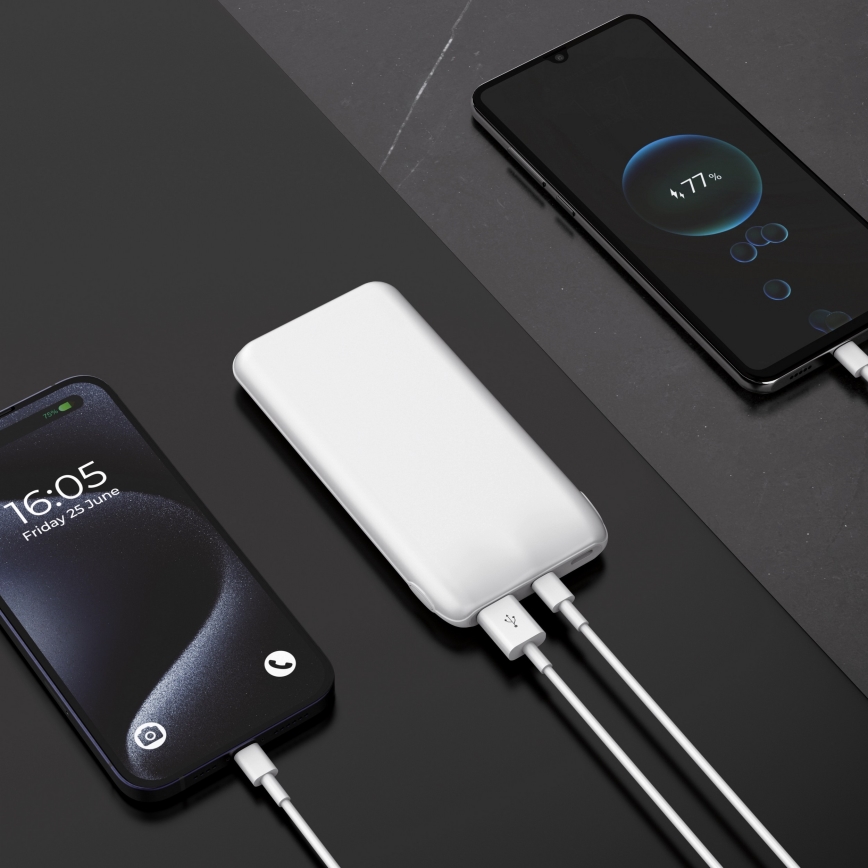 Powerbank 10000 mAh 10W Power Delivery 2xUSB-C + 1xUSB-A wit