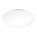 Prezent 25077 - Vervangend glas voor plafondlamp VALEO E14