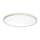 Prezent 27304 - Plafonnier salle de bain CORDIA LED/12W/230V 3000/6000K IP54 blanc