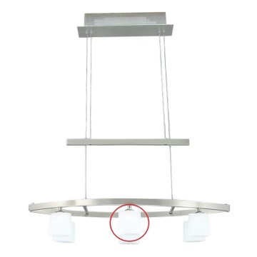Prezent 426 - Verre de rechange pour suspension MATRIX
