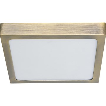 Prezent 49064 - LED Plafondlamp LENYS LED/22W/230V 4000K 22,5x22,5 cm messing