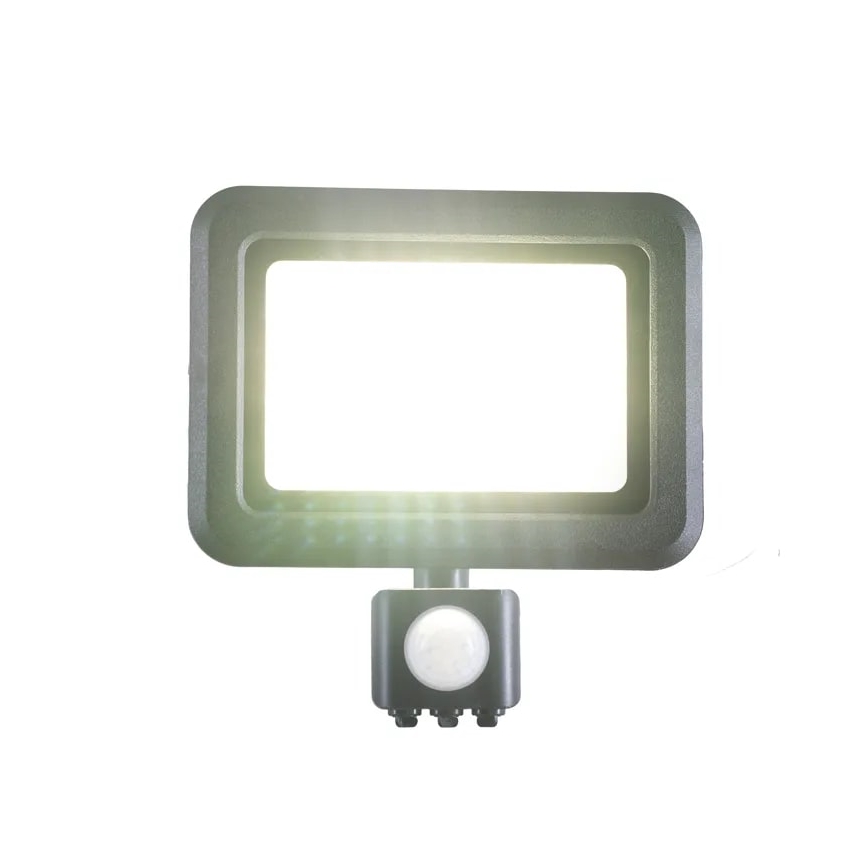 Projecteur avec détecteur LED/30W/230V 4000K IP44