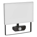 Projecteur avec détecteur TAMBO LED/50W/230V 4000K IP54