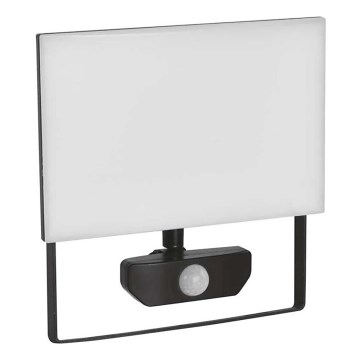 Projecteur avec détecteur TAMBO LED/50W/230V 4000K IP54
