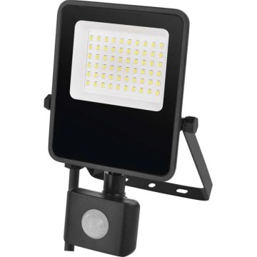 Projecteur avec détecteur VISIO LED/30W/230V 4000K IP65