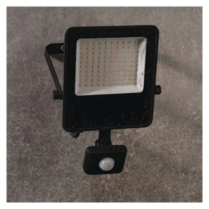 Projecteur avec détecteur VISIO LED/50W/230V 4000K IP65
