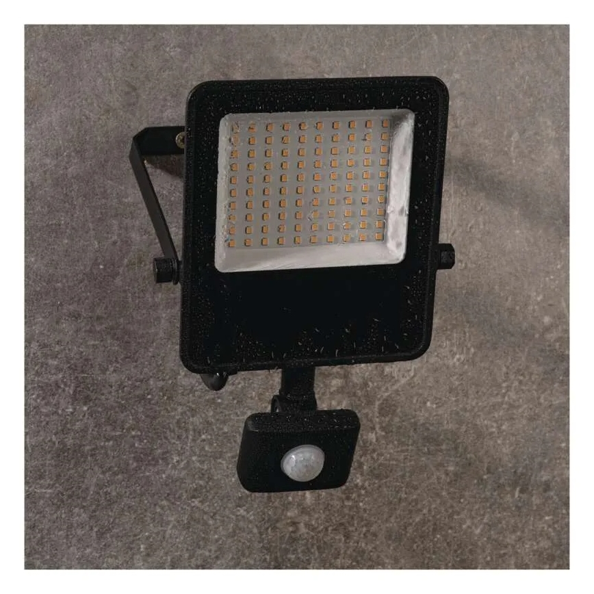 Projecteur avec détecteur VISIO LED/50W/230V 4000K IP65