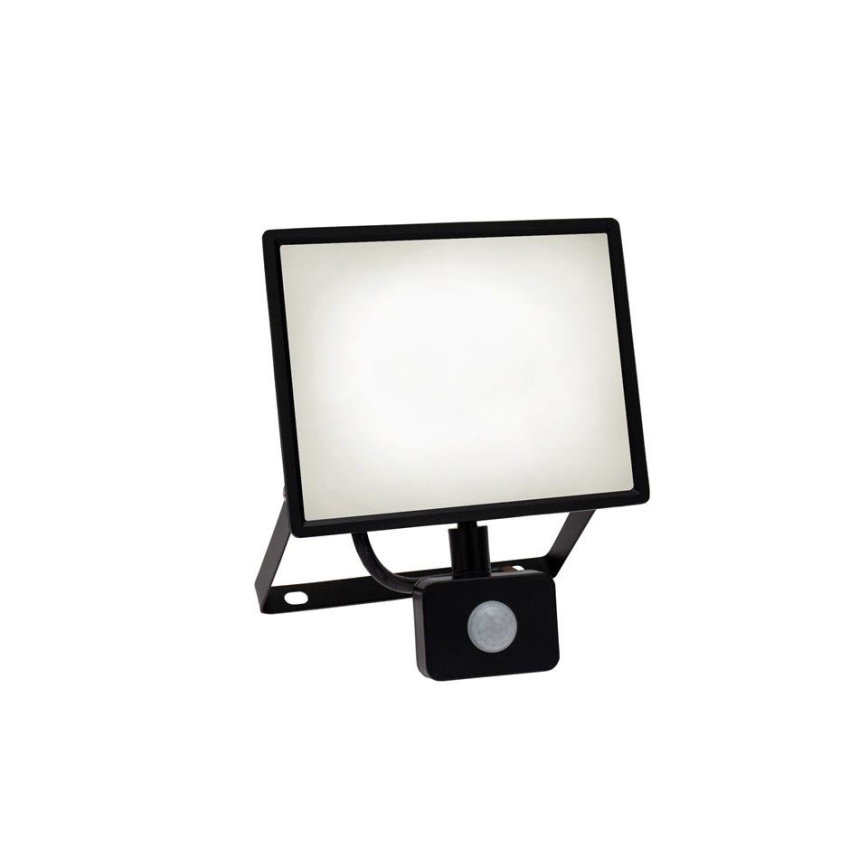 Projecteur d'extérieur avec détecteur NOCTIS LUX 3 LED/50W/230V 4000K IP44 noir