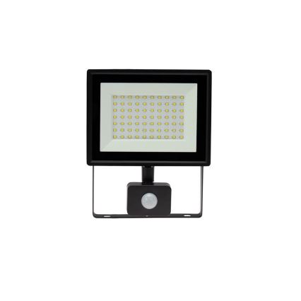 Projecteur d'extérieur avec détecteur NOCTIS LUX 3 LED/50W/230V 4000K IP44 noir