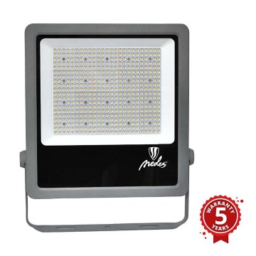 Projecteur extérieur PROFI PLUS LED/300W/230V 5000K IP66