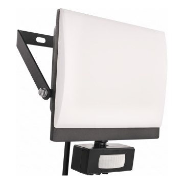 Projecteur LED avec détecteur de mouvement et cellule crépusculaire TAMBO EVO LED/30W/230V 4000K IP44 noir