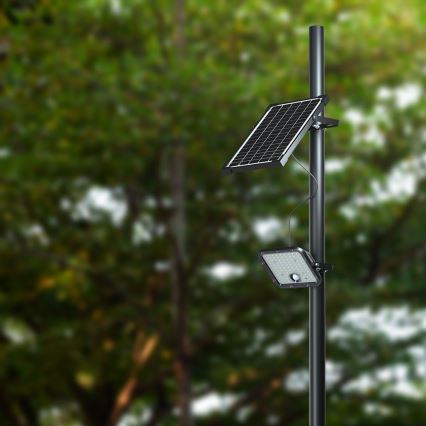 Projecteur solaire avec détecteur LED/30W/6,4V 4000K 6000 mAh + Télécommande