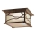 Quintiesse - Buitenplafondlamp MORRIS 2xE27/60W/230V IP44 brons