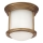 Quintiesse - Plafonnier d'extérieur HADRIAN 1xE27/60W/230V Ø 16,8 cm IP44 doré