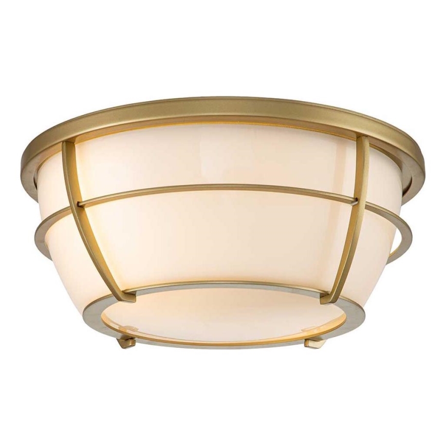 Quoizel - Badkamer plafondlamp CHANCE 2xE27/60W/230V IP44