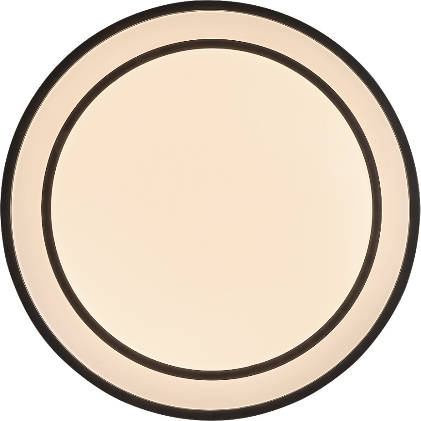 Rabalux - Dimbare LED-plafondlamp LED/40W/230V 3000-6500K zwart Ø 49 cm + afstandsbediening