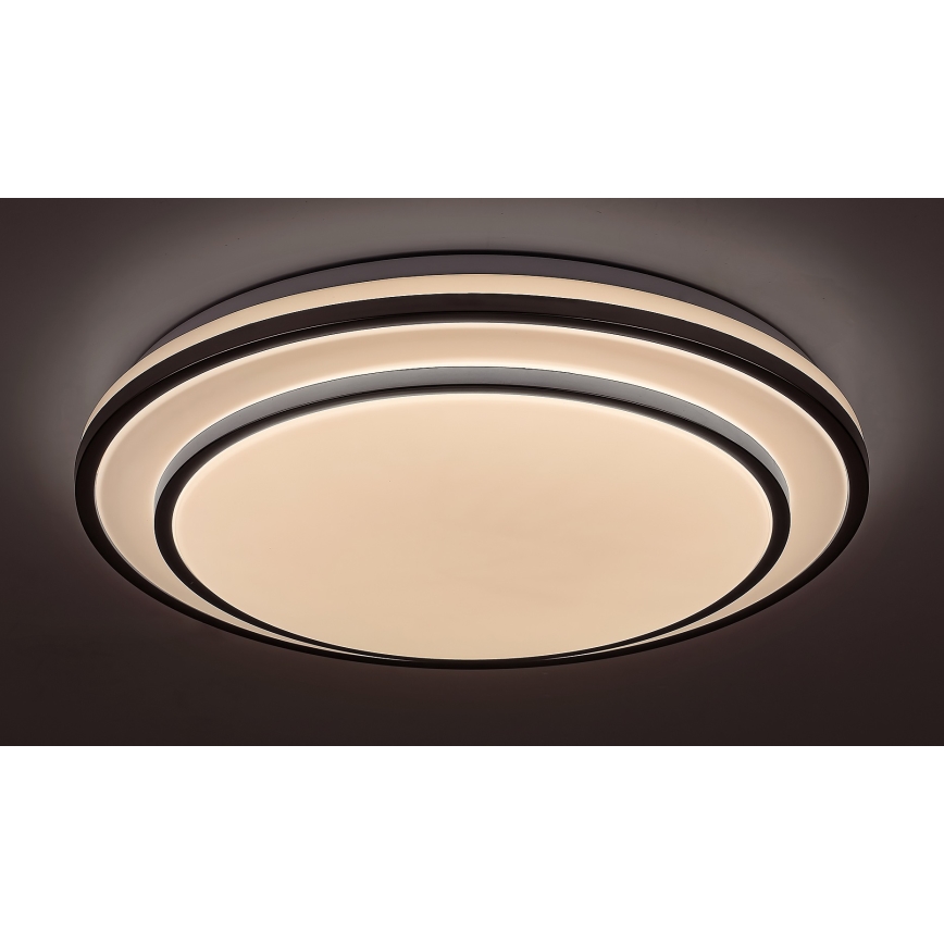 Rabalux - Plafonnier LED à intensité variable LED/40W/230V 3000-6500K argenté + télécommande