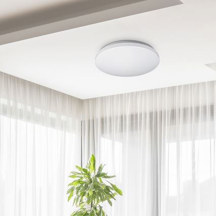 Rabalux - LED plafondlamp LED/32W/230V Ø 38 cm