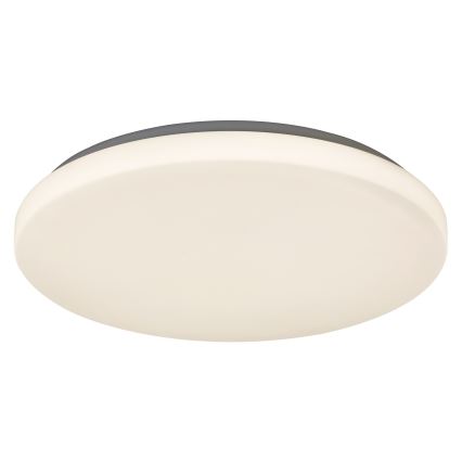 Rabalux - LED plafondlamp LED/32W/230V Ø 38 cm
