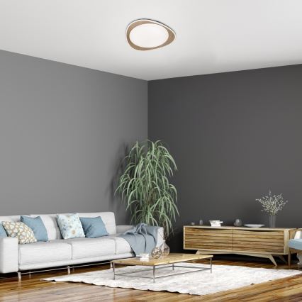 Rabalux - LED plafondlamp LED/24W/230V Ø 45 cm