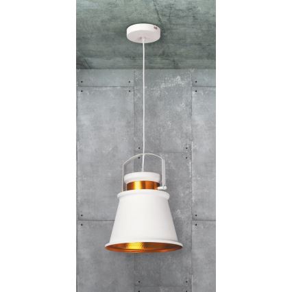 Rabalux 2571 - Hanglamp DUSAN E27/40W