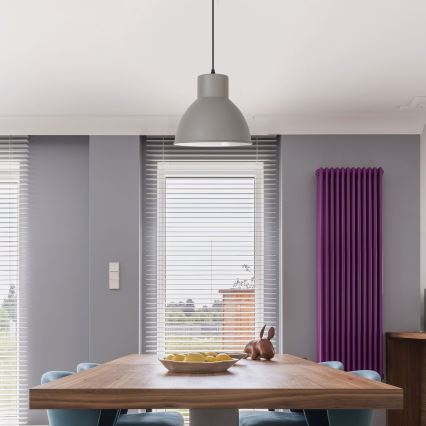 Rabalux - Lustre 1xE27/60W/230V anthracite