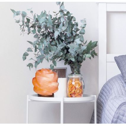 Rabalux - Salt lamp 1xE14/15W/230V acacia 3,5 kg