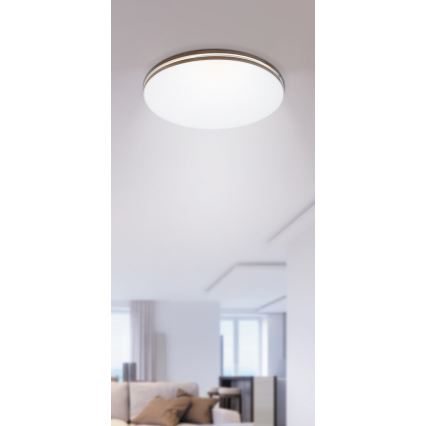 Rabalux - LED Plafondverlichting 1xLED/18W/230V