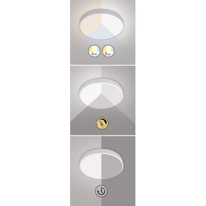 Rabalux - Dimbare LED plafondlamp LED/60W/230V 60 cm + afstandsbediening